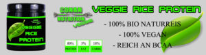 veggie-rice-protein-banner-gross